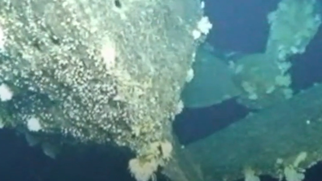 US News World War II submarine USS Grayback found after 75 ...