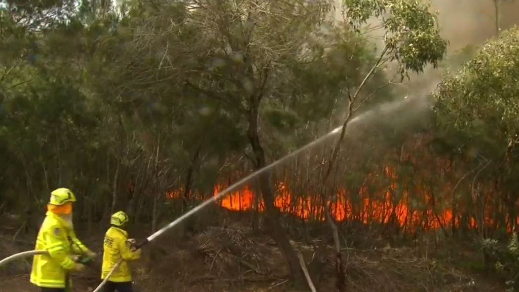 NSW, QLD Fires LIVE: Man's Body Found In Burnt-out Bushland, Near ...