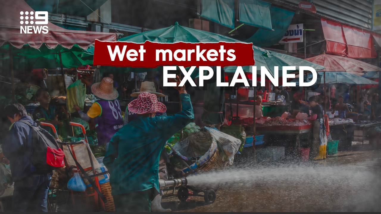 What is a wet market?