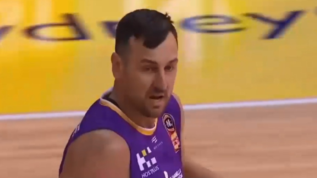 Bogut quits Sydney Kings