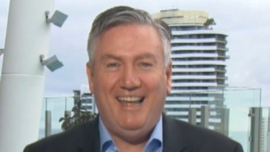 Eddie McGuire comments on drones to monitor AFL fans