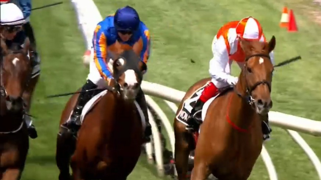 'Most wide open' Melbourne Cup ever