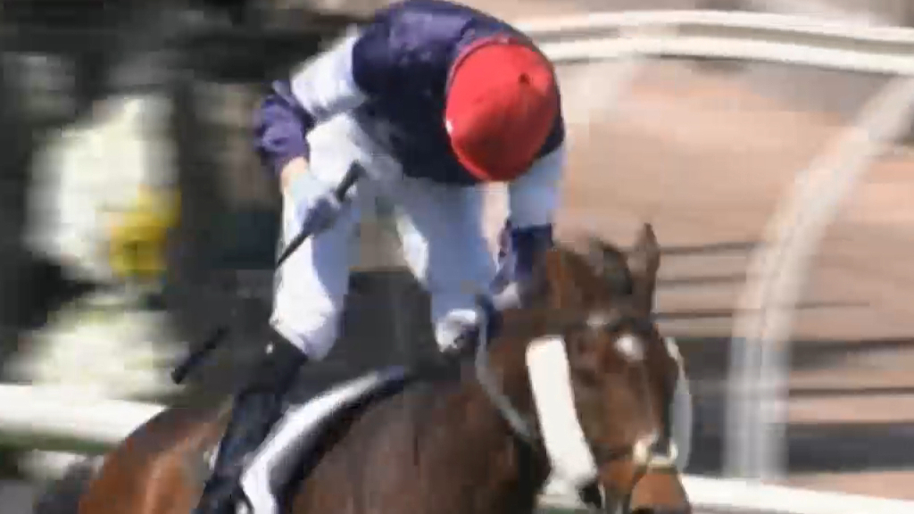 Twilight Payment wins the Melbourne Cup