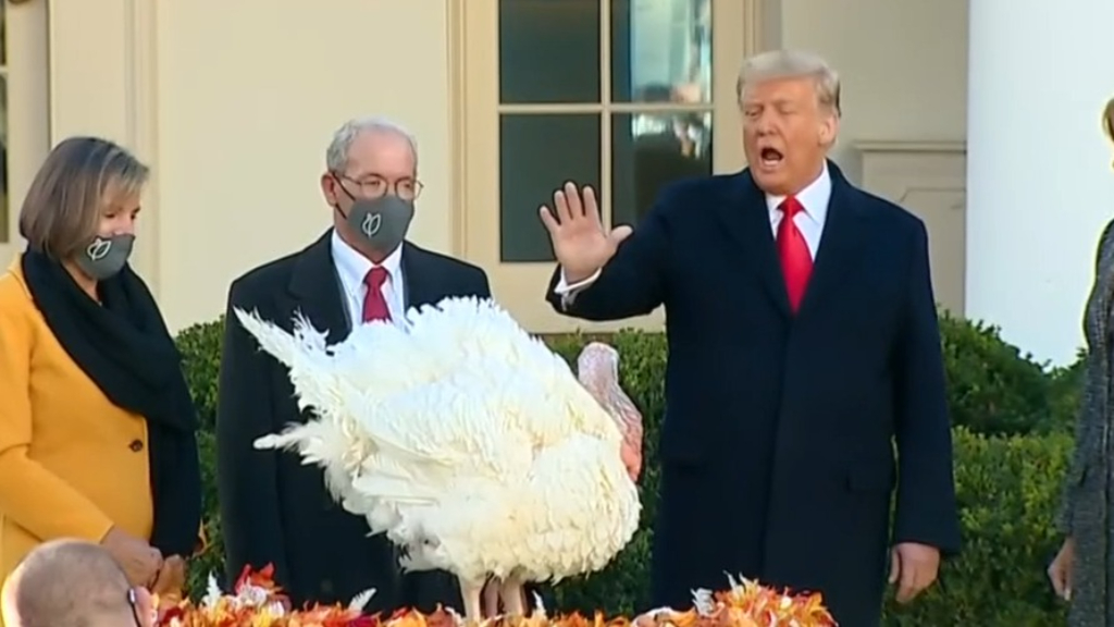 US Election 2020: Trump pardons turkey