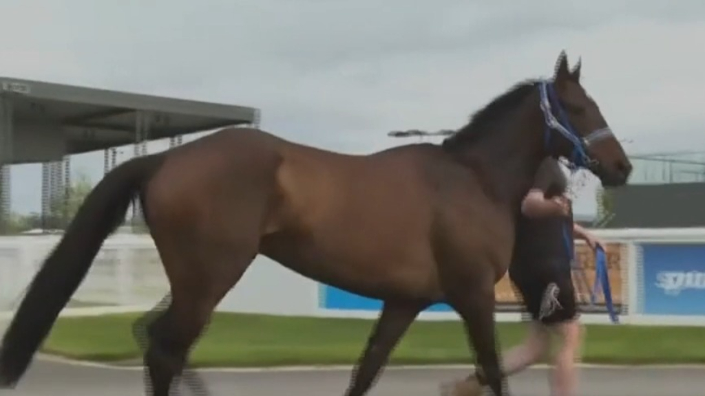 Flemington hosts its first Melbourne Cup crowd in two years