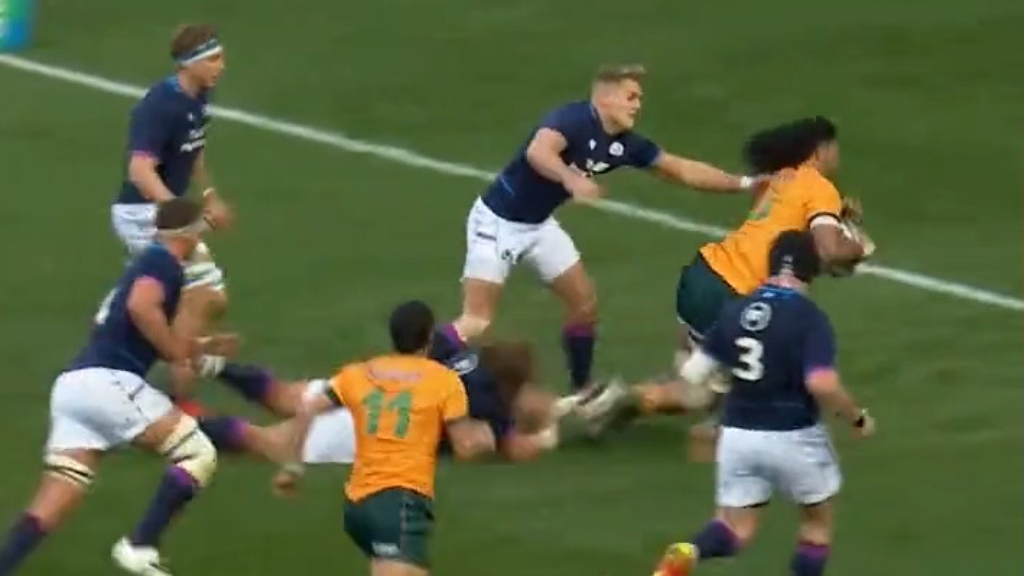 Wallabies young guns carve up Scotland