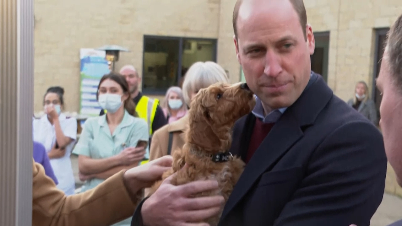 Prince William and Kate enjoy puppy time in Lancashire