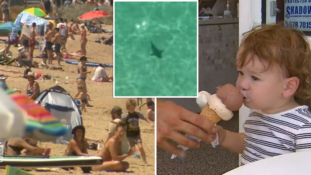 Sharks spotted at popular Victorian beach as weather heats up