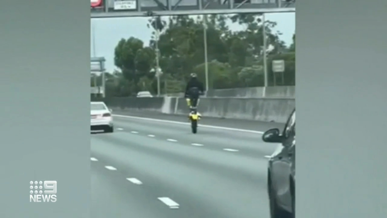 Police target bike rider after life-threatening stunts