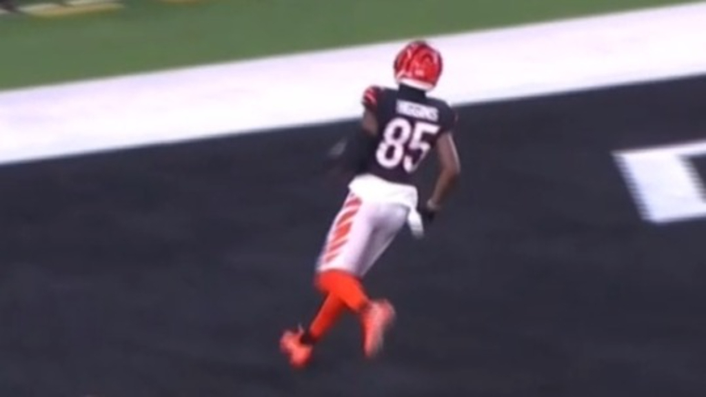 Controversial touchdown gives Bengals lead