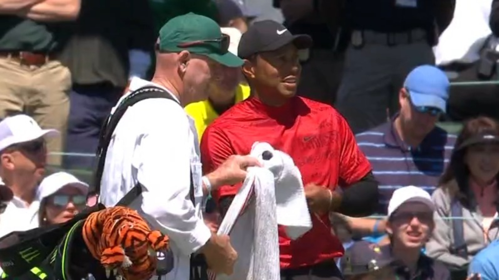Tiger given emotional standing ovation