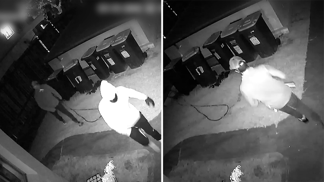 CCTV of home robbery in Sydney's Inner West released