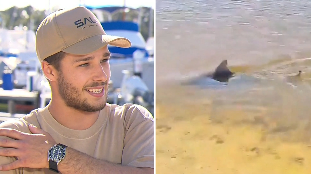 Diver's terrifying encounter with bull shark who 'rammed' him
