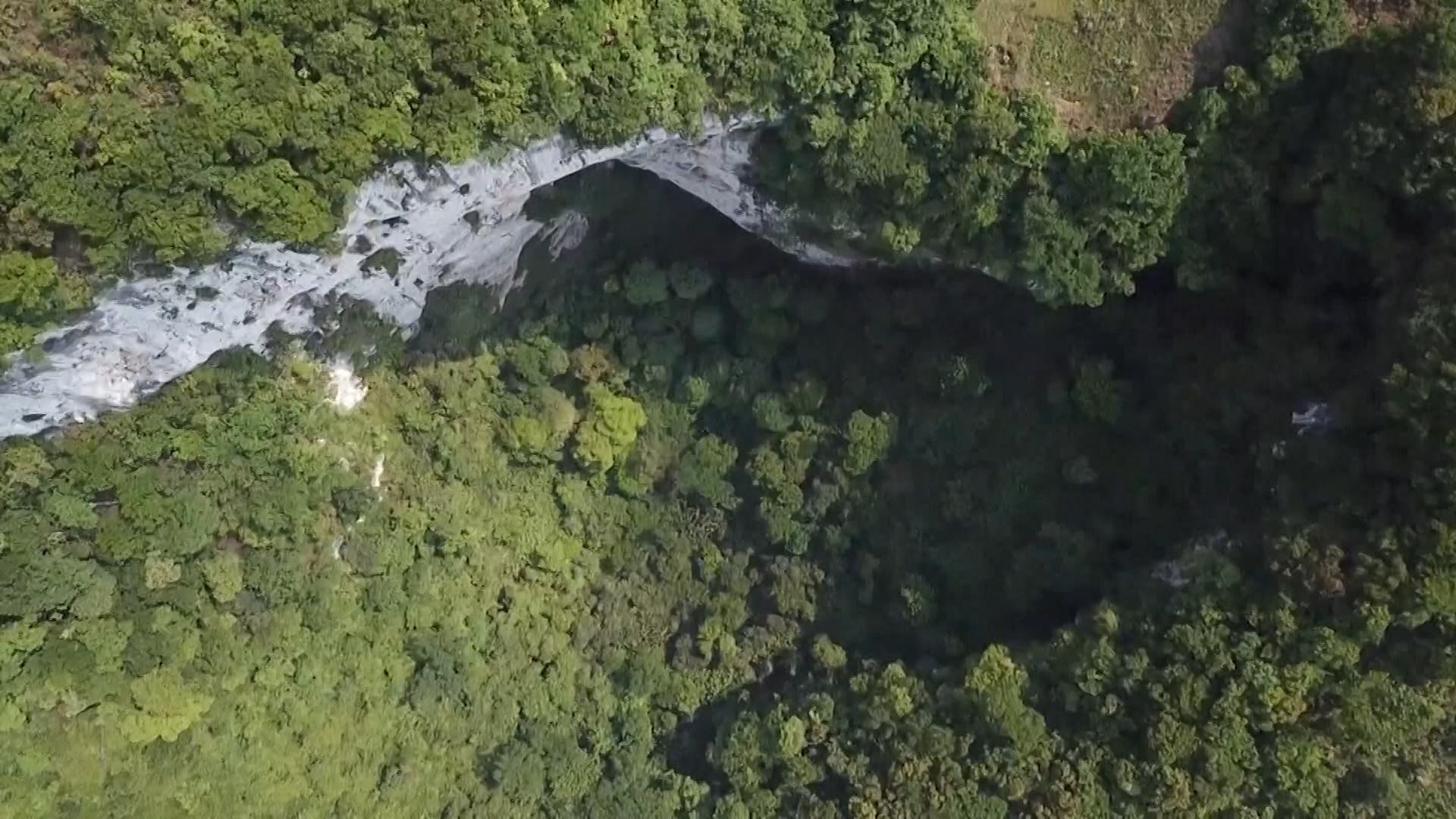 Scientists discover hidden forest inside massive sinkhole in China
