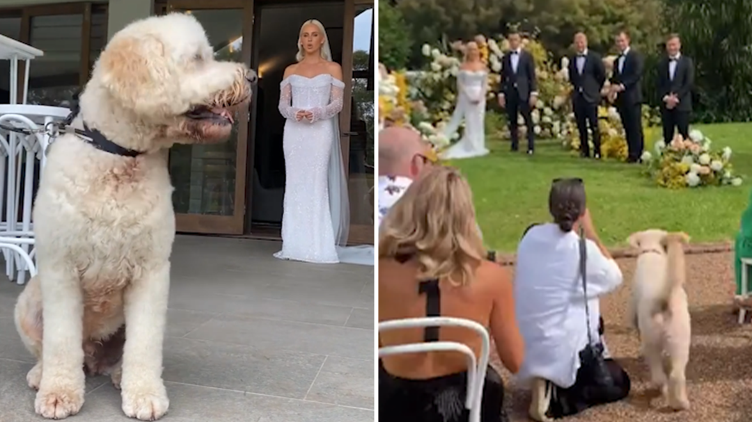 DJ Tigerlily reveals adorable moment pup presents rings on wedding day