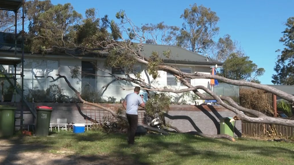 Tree falls on house on NSW Central Coast