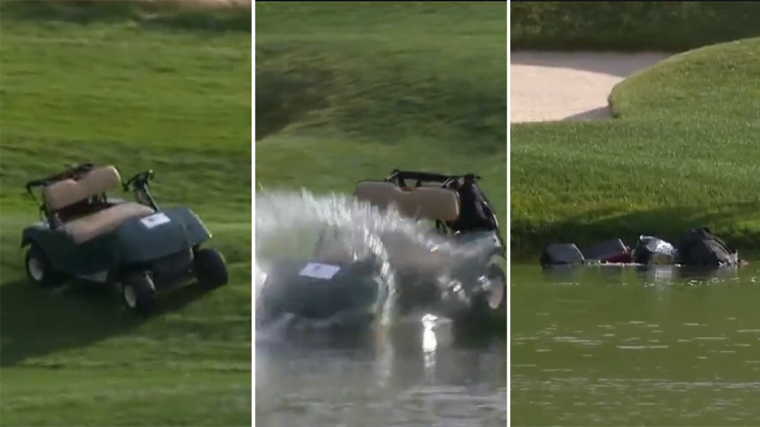 Runaway golf cart splashes into pond