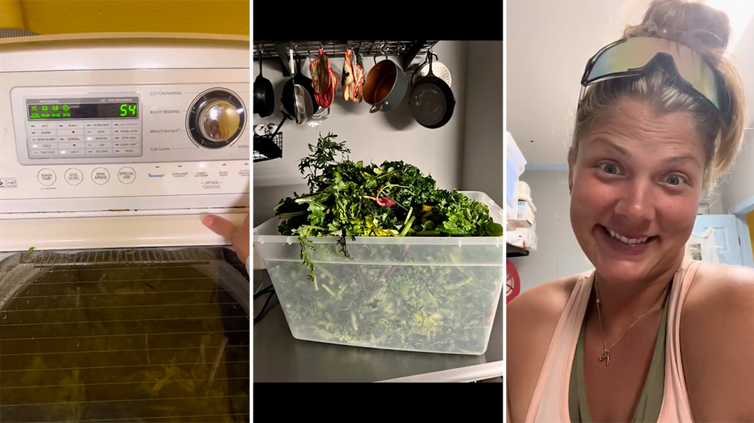Woman washes green vegetables in washing machine