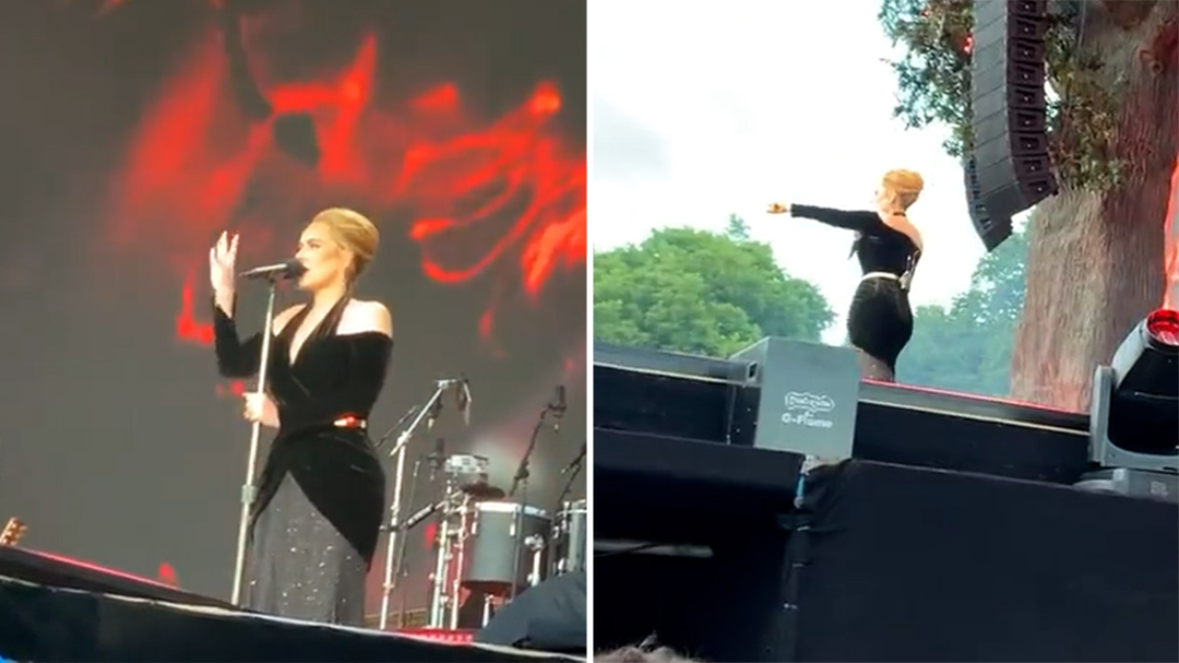 Adele stops performance mid-way to help struggling fan