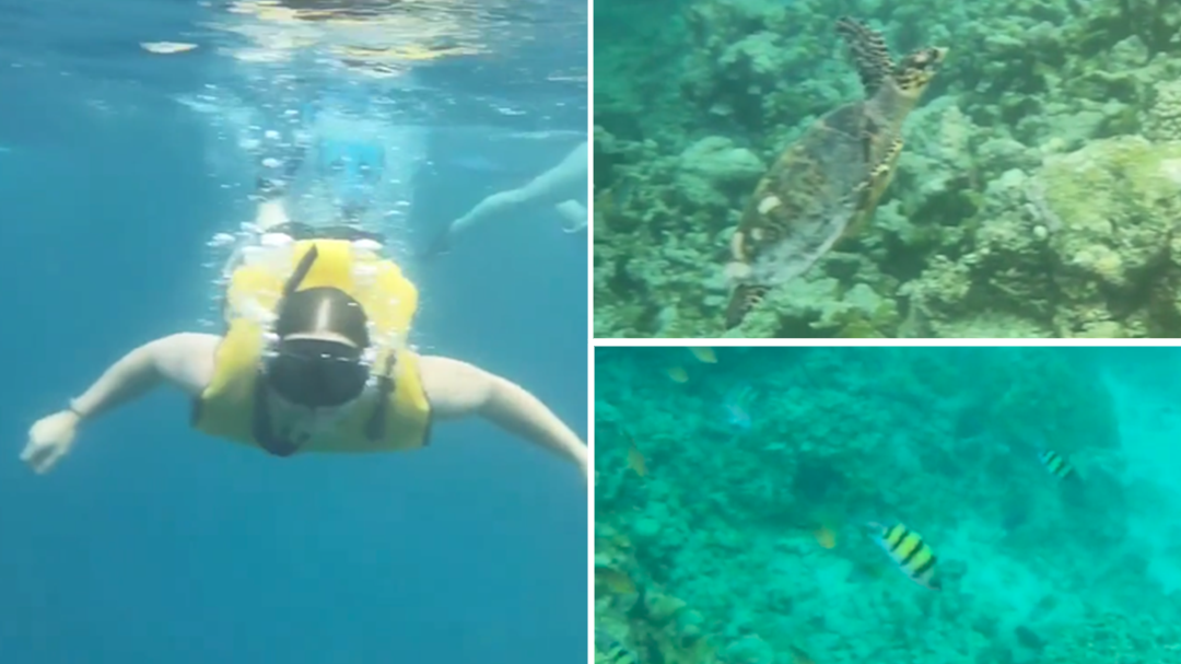 We went on a turtle safari in the Maldives with Club Med