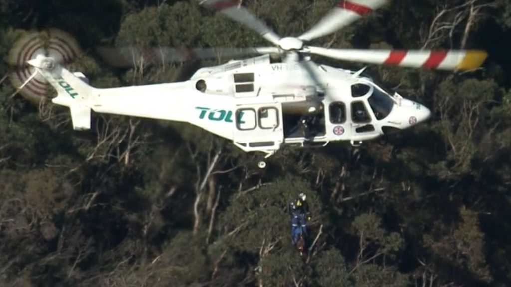 Two hikers rescued after spending night stranded in Blue Mountains