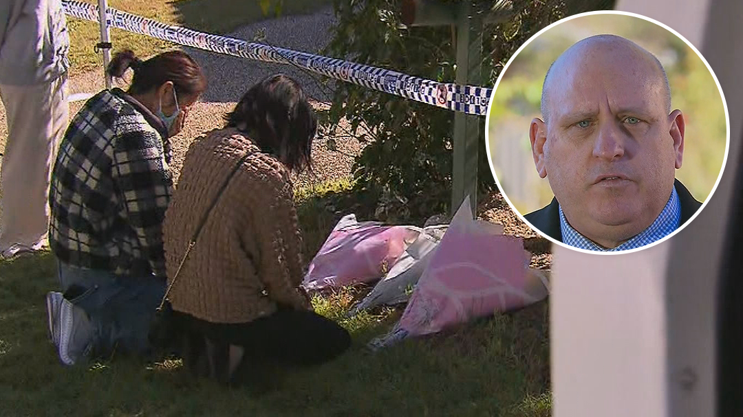 New details emerge into Brisbane mum and son's alleged killer