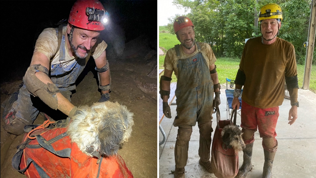 Dog, missing two months, found alive inside Missouri cave