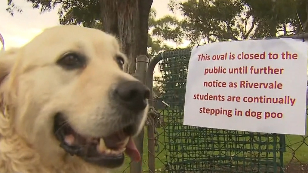 Perth school closes gates to dog walkers
