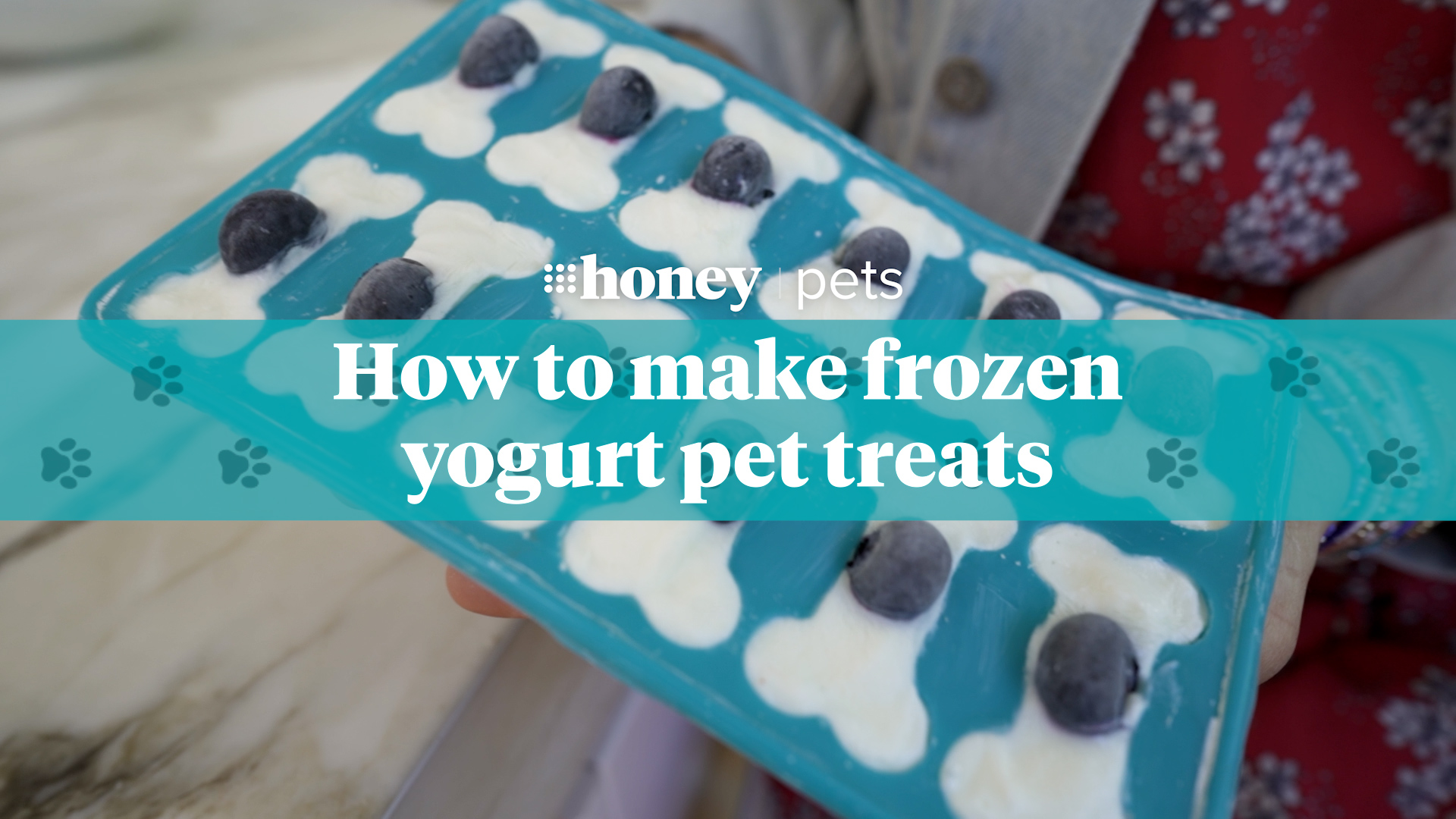 how-to-make-frozen-yogurt-pet-treats-9honey