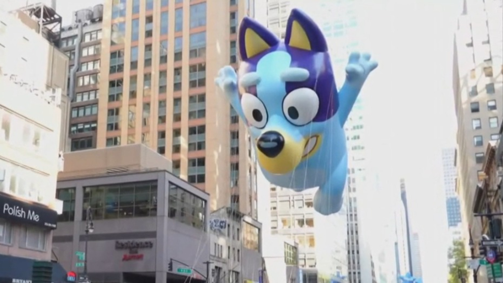 Bluey stars in Macy's Thanksgiving Day Parade in front of 3.5 million ...