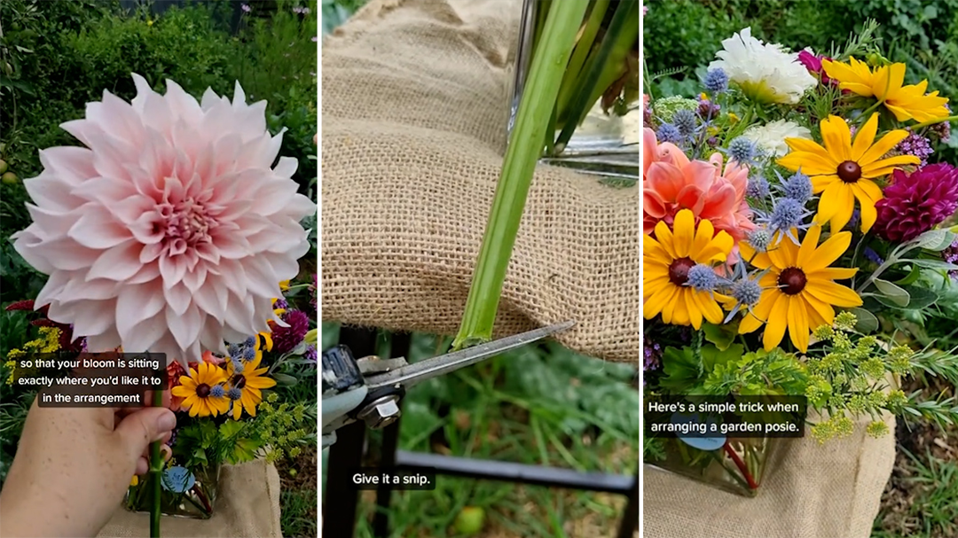 TikToker's trick for trimming flowers to the exact height you want
