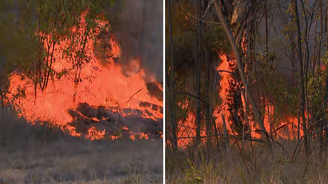 Emergency bushfire warnings for residents in Queensland's Western Downs