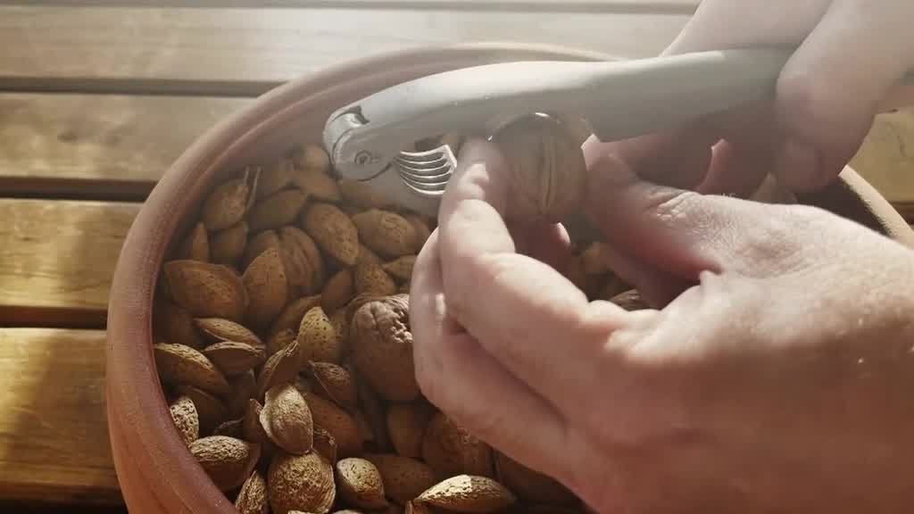 Eating nuts improves male fertility, study shows