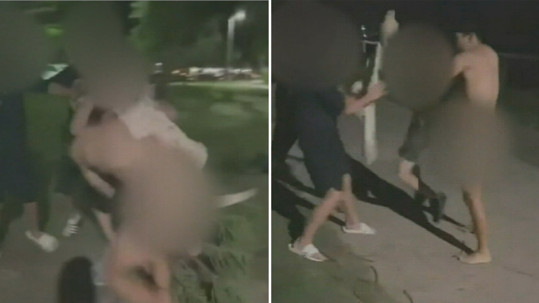 Almost naked man outnumbered in park brawl