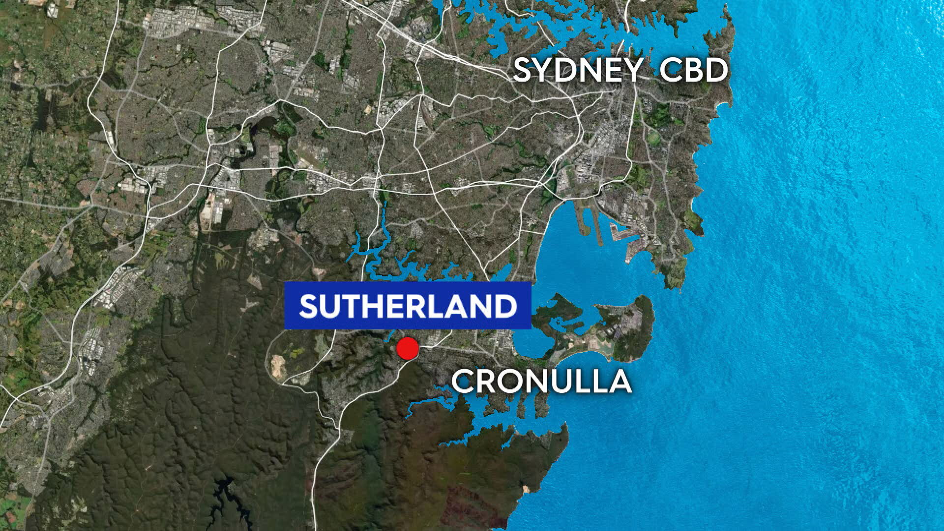Security guard killed after alleged assault in Sydney