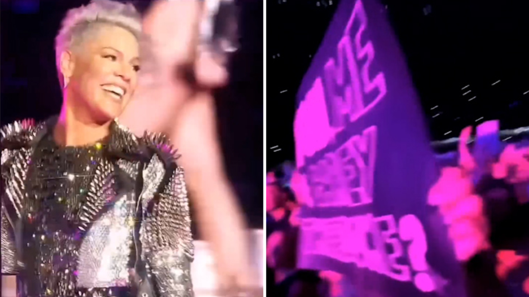 Pink 'left speechless' over fan's X-rated sign at concert