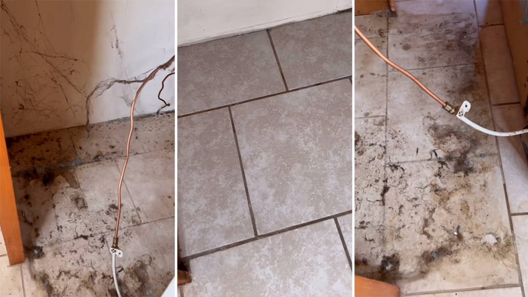Professional cleaner reveals the four kinds of filth behind your fridge