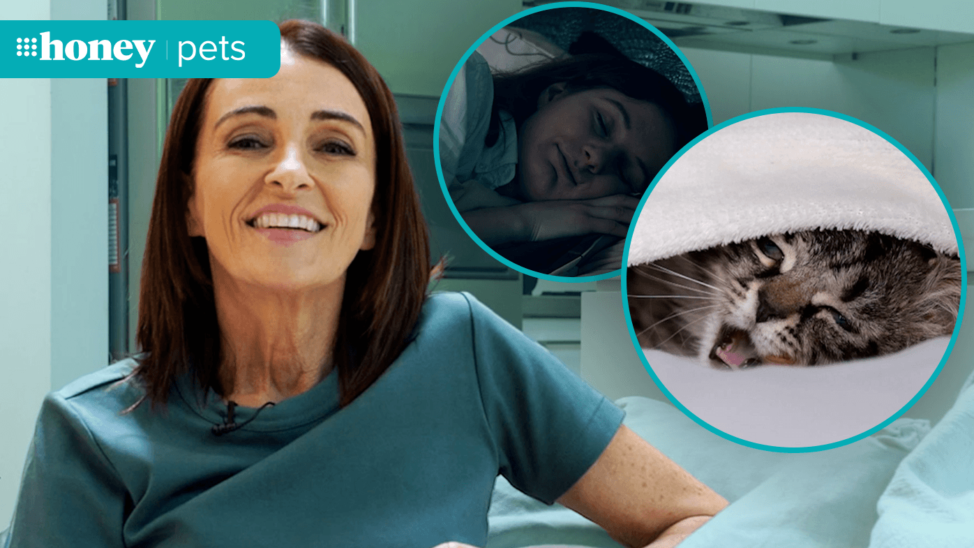 Dear Dr Katrina: 'How do I stop my cat from waking me up?'