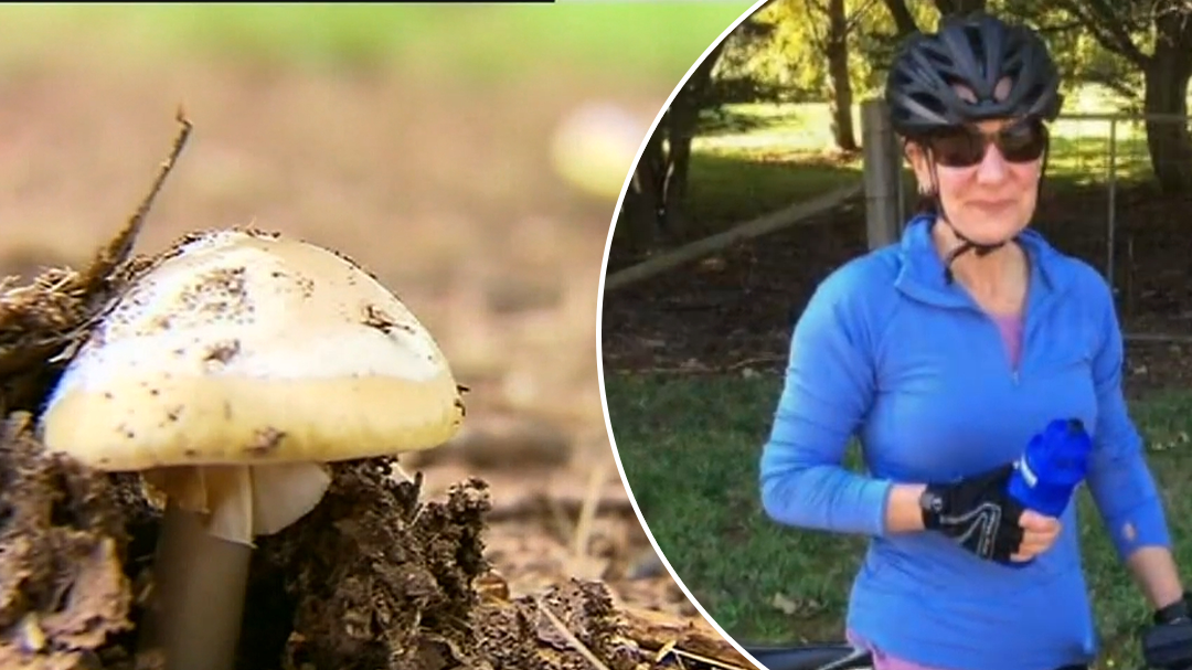 Mystery deepens in alleged mushroom-related death