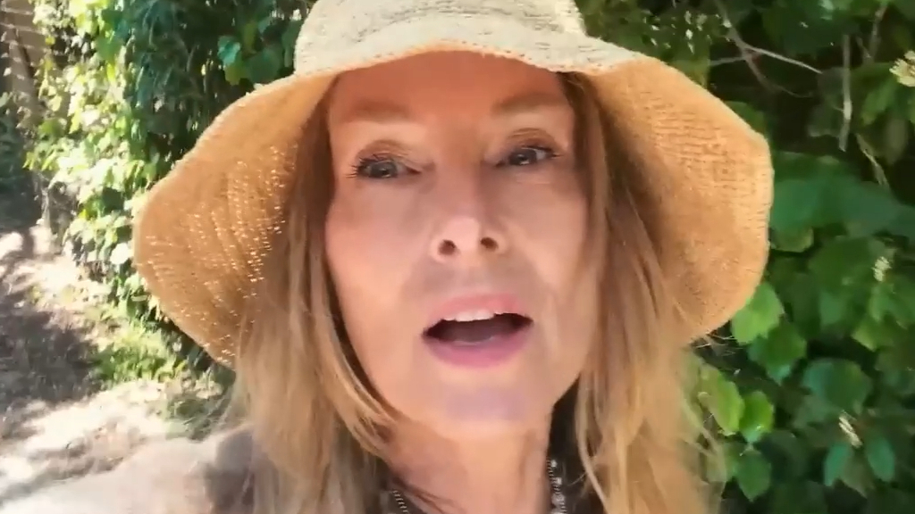 Chynna Phillips reveals she has a large tumour in her leg