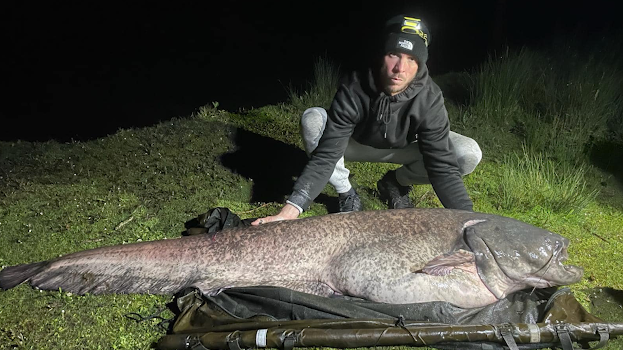 Brit lands record 64kg catfish