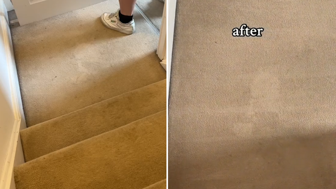 Renter shares results of carpet cleaning transformation