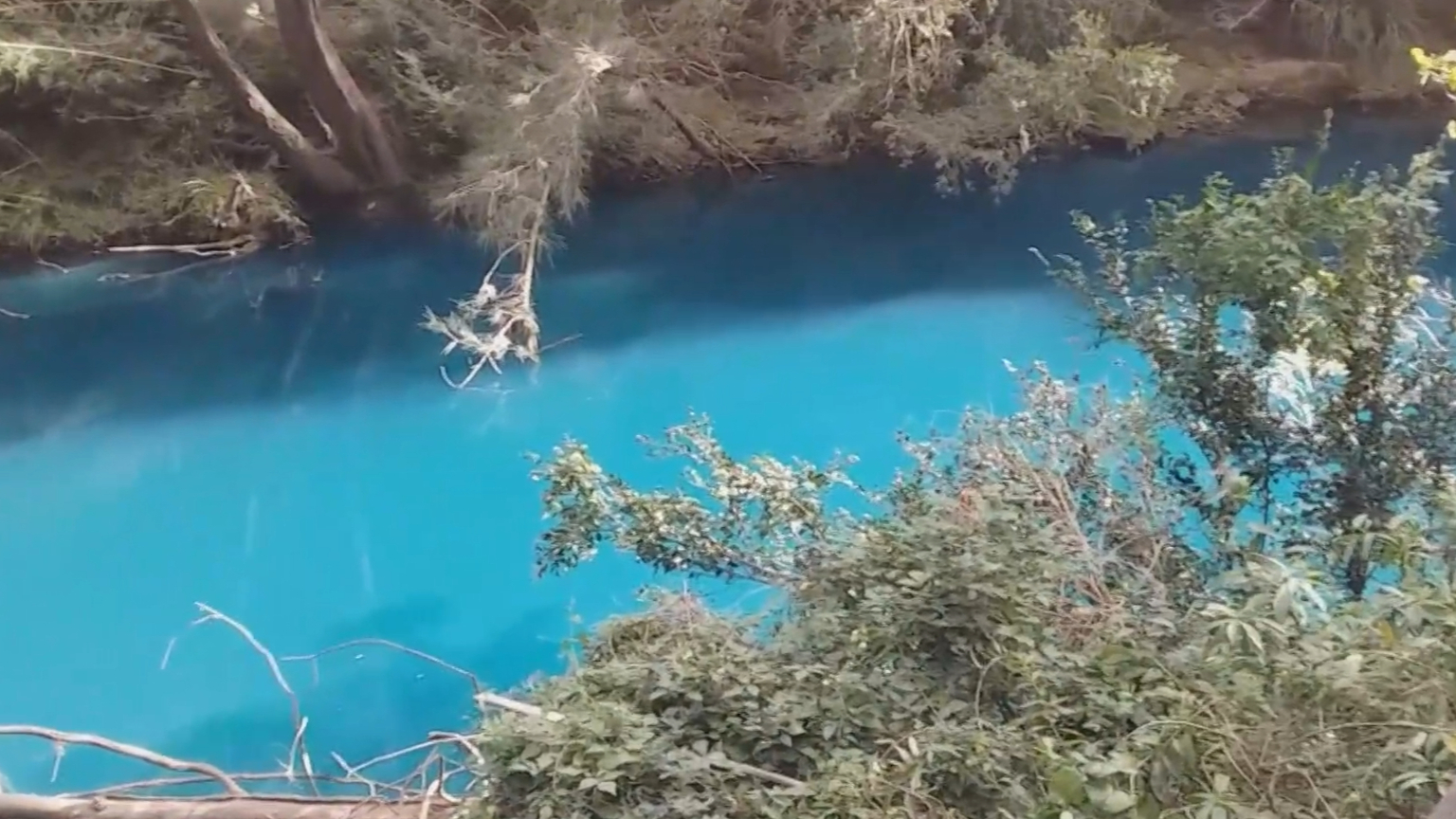 Concern as Toongabbie creek turns bright blue
