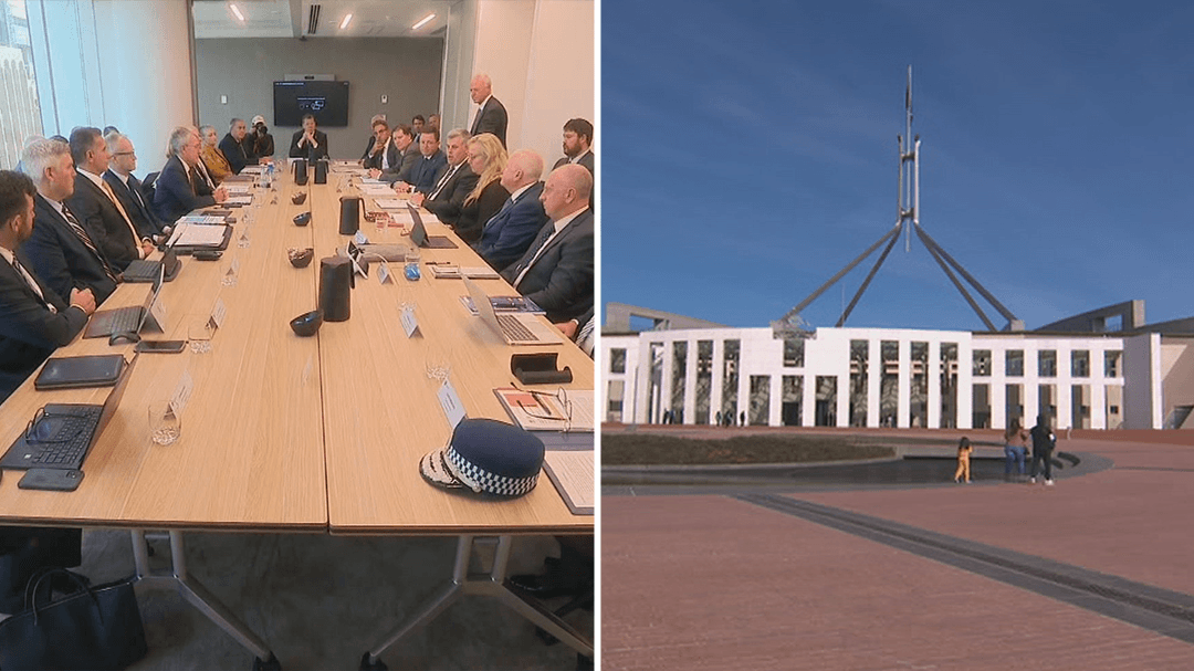 Federal and state ministers to hold domestic violence crisis talks today