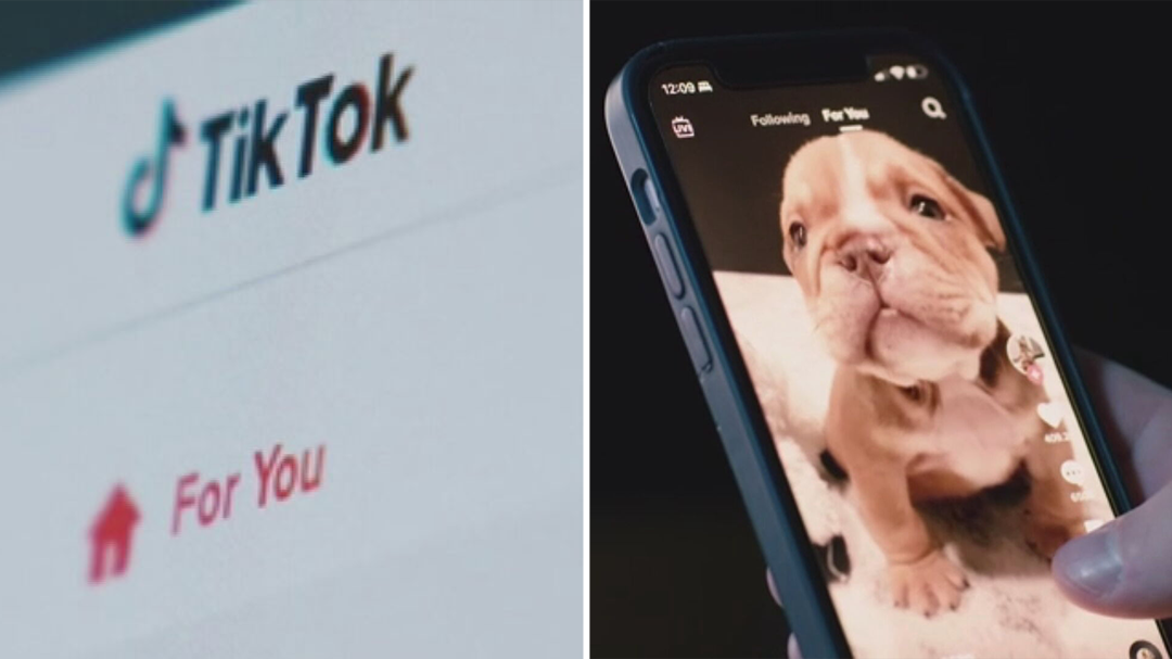 TikTok is suing to block a US law that could force a nationwide ban