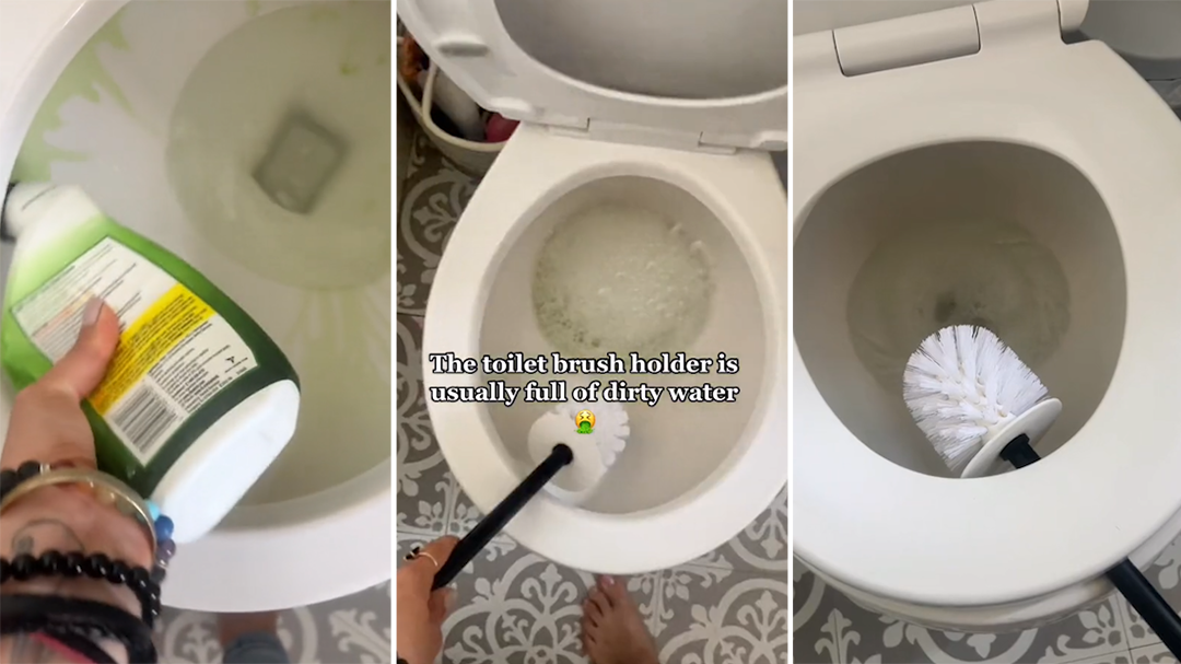 Toilet brush cleaning hack