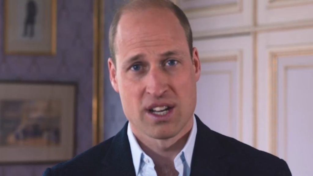Prince William's surprise video message thanking the Irwins