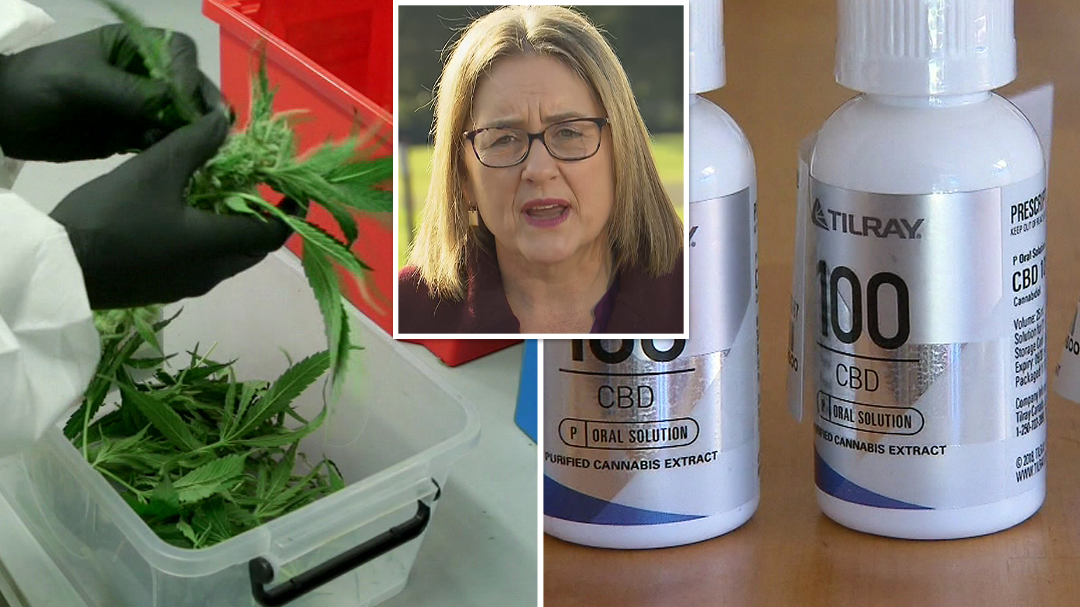 Victoria to launch 'world-first' medicinal cannabis driving trial
