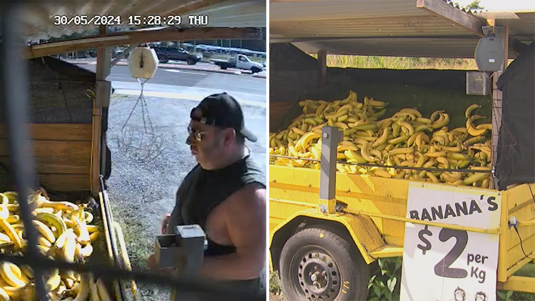 Maserati-driving banana thief forces fruit stand to install security cameras