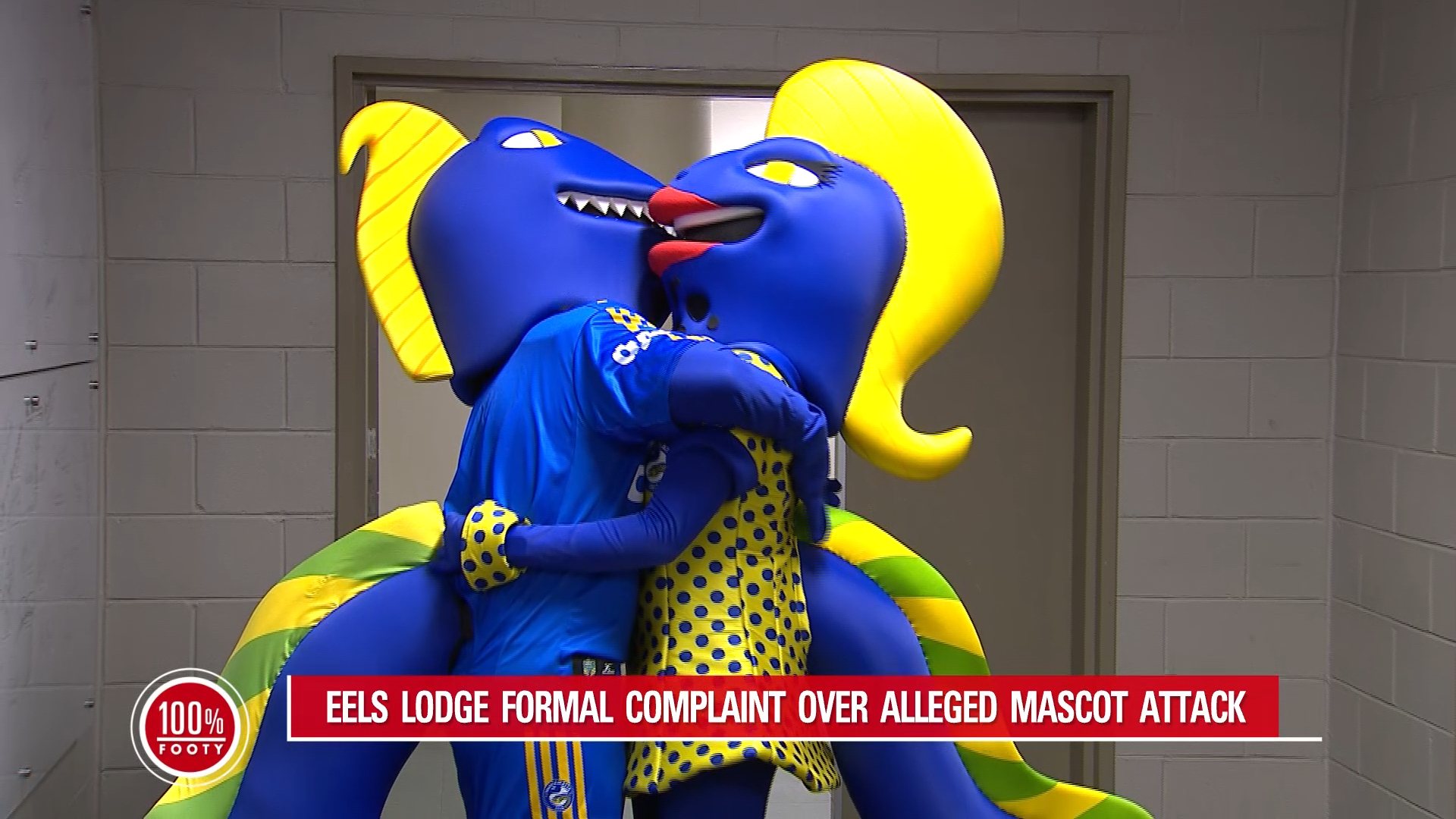 Eels lodge bizarre mascot complaint